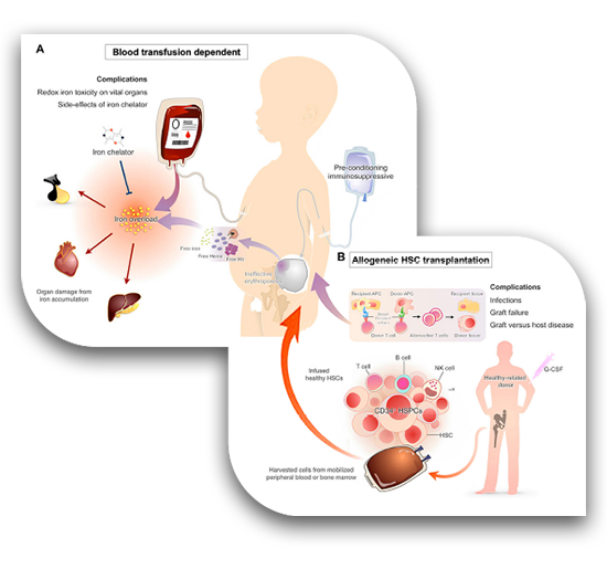 1982_TRANSFUSION_2_copy.png