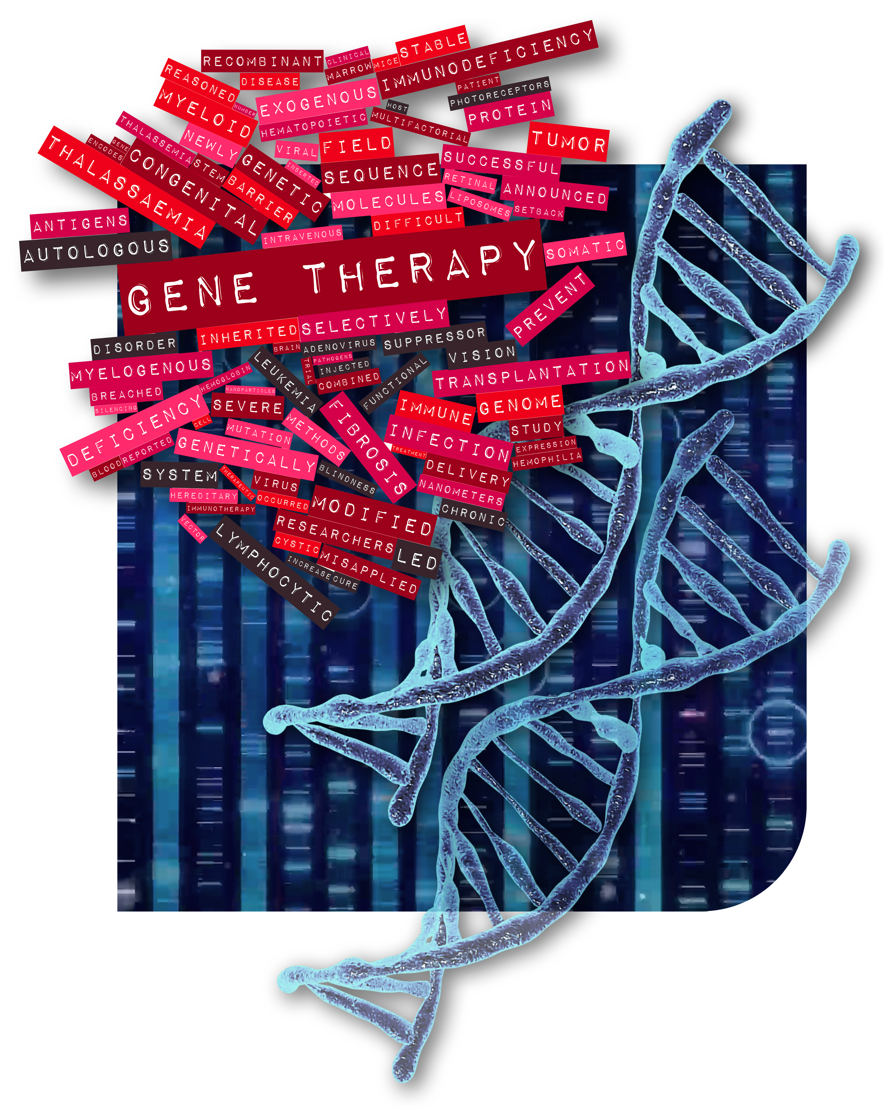 2007_CAF_GENE_THERAPY_DNA_STRAND_copy-0002.png